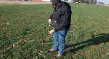 Postharvest Soil Sampling to Save Money