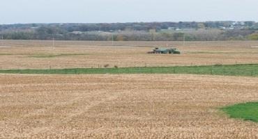 Cover Crop Dos and Don’ts - Lessons Learned about Cover Crops, Corn Growth, Diseases and Pests