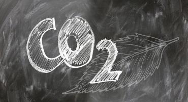 A simple carbon market overview for carbon-based people
