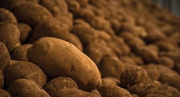 FCC supporting customers affected by PEI potato production ban