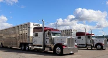 Protect Your Swine Herd by Washing and Disinfecting Vehicles Returning from Processing Plants, Buying Stations or other Farms