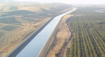 The Importance of California’s Agricultural Water Supplies