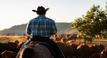 Rupert Murdoch takes on ranching