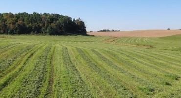 Does Source of Sulfur Fertilizer Matter for Alfalfa?