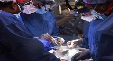 Doctors Transplant A Genetically Modified Pig Heart Into A Human For The 1st Time