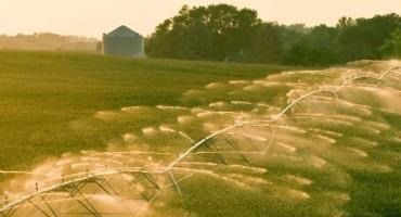 Trends in Irrigated Agriculture Reveal Sector’s Ability To Adapt to Evolving Climatic, Resource, and Market Conditions