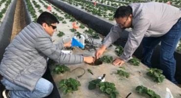  UC ANR scientists Receive $1.5M NIFA Grant for Climate-Smart Agriculture
