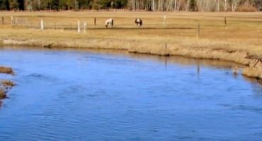 AFBF Applauds Supreme Court Decision to Hear Clean Water Act Case
