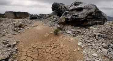Heatwave and Drought Hit South America's Crops and Economy