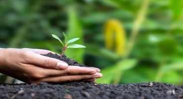 Farming Practices Good for the Environment and the Farmer's Pocket