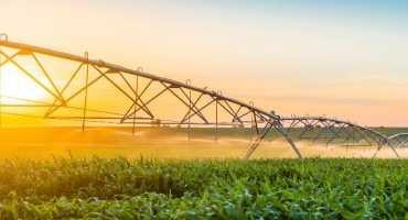 How Using Groundwater Sustainably Would Affect Key Crops