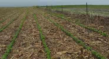 Economics of Different Crop Rotation Systems in South Dakota