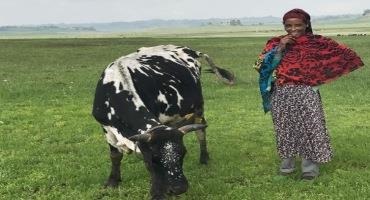 Grant Helps UF Researchers Expand Income Opportunities For Small-Scale Farmers In Africa