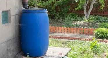 The Ins and Outs of Harvesting Rainwater