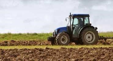 Soil Tillage Reduces Availability of ‘Longevity Vitamin’ Ergothioneine in Crops