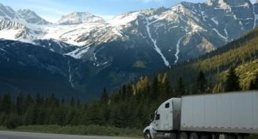 Border Blockades In Canada Hinders U.S. Cattle And Beef Shipments