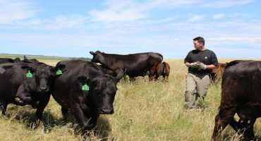 Management-Intensive Grazing Plays a Key Role in Expanding Grass-Based Agriculture