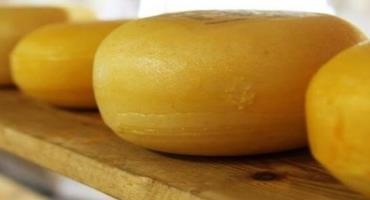 World's Largest Technical Cheese Competition Returns