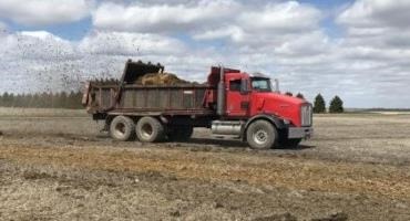 Manure as a Fertilizer