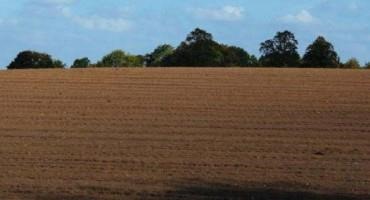 Nebraska Farm Numbers Lower