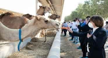 USDA Trade Mission to Dubai in Focus: A Visit to Camelicious Shows US-UAE Trade in Action