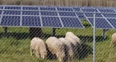 Solar and Crop Production Research Shows ‘Multi-Solving’ Climate Benefits