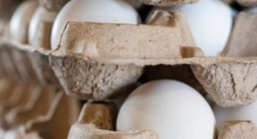 Egg Prices Climbing As Easter Approaches