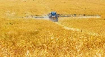Researchers' Novel Tool to Help Develop Safer Pesticides