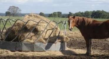 Hay Feeders and the Potential to Reduce Hay Waste