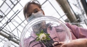 Farm Bureau Foundation for Agriculture Launches ‘One-stop Shop’ for STEM Educators: The Food and Agriculture Center for Science Education