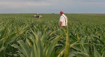 Farmer Focus: Nebraska Growers Put Pivot Bio to the Test Via On-Farm Research Studies