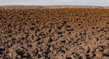 Drought In West Texas And Panhandle Makes Growing Feed Grain A Challenge