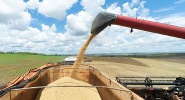 Corn and Soybeans Near Record Prices, Push Food Costs Higher