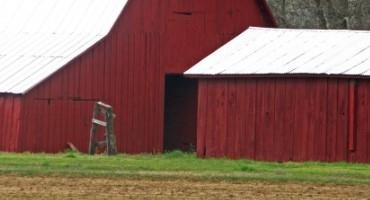 Proposed SEC Rule Could Reach Nearly Every Farmer and Rancher