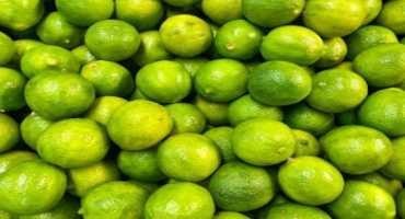 Sweet Lime Oils Defeat Pests