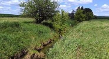 Planting a Grass Riparian Buffer With Hay Production Potential