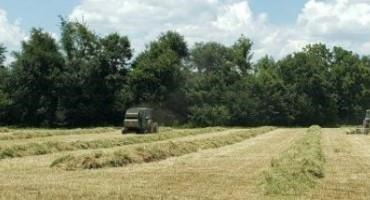 Producing or Buying Hay in 2022 – Considerations Going Forward