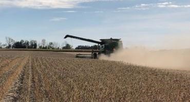 Is Planting Soybeans in 15-Inch Rows with Split-Row Planters Profitable?