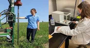 UK Researcher Earns National Recognition for Innovative Soil Research