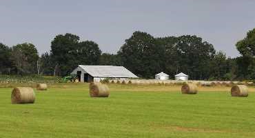 Considerations for Consumers, Producers as Hay Prices Likely Rise