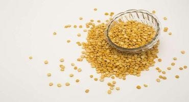 Yellow Peas Show Promising Results as the Basis for Tomorrow's Cheese