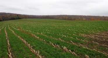 Agricultural Erosion and Sediment Control Planning Resources
