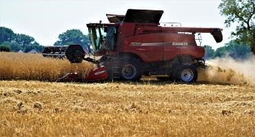 Harvest time in Ukraine