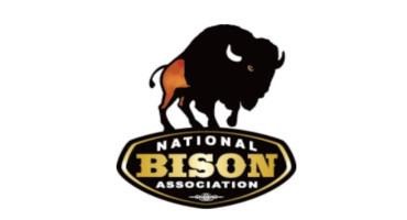 July is Bison Month!