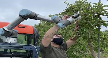 The future of fruit thinning