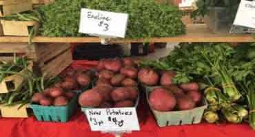 Farmers Market Licensing Requirements