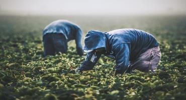 Action taken to grow agri-food workforce