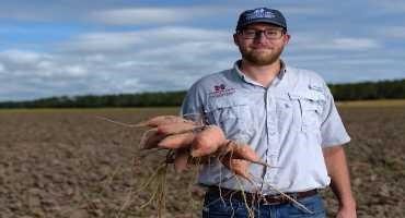 Sweet Potato Field Day is Held Aug. 25 in Pontotoc