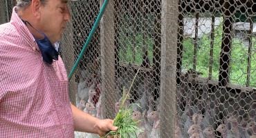 Poultry Farmers Take ‘Biosecurity’ Measures as Bird Flu Makes Contact in R.I.