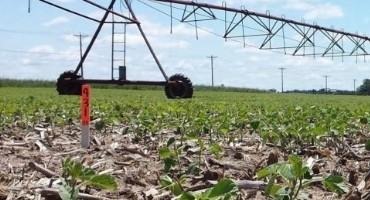 Soybean Irrigation during Reproductive Growth